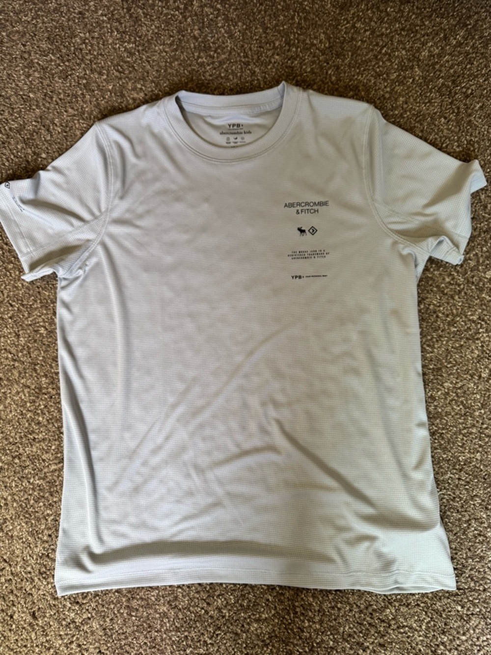 Abercrombie & Fitch Men's Pale Blue Performance Tee